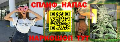 дмт Беслан