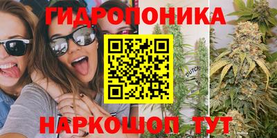 mdpv Бийск